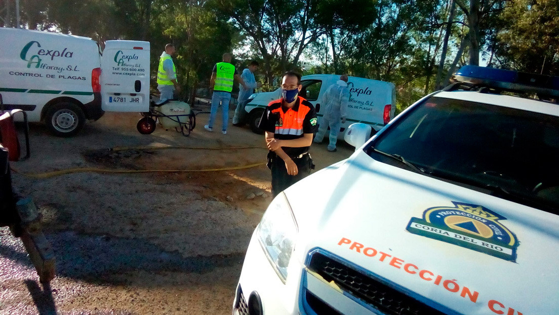 Aumentan a 35 los afectados por el 'virus del Nilo' en España, con 33 hospitalizaciones y 7 pacientes en UCI