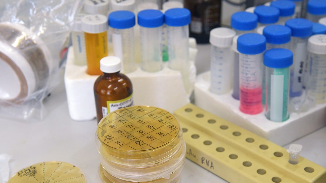 Publican las instrucciones de uso de la vacuna rusa Sputnik V: posibles efectos secundarios y contraindicaciones