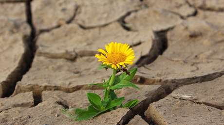 Un estudio indica que las olas de calor podrían matar a millones de personas en el futuro