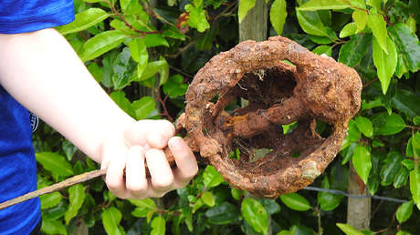 Un niño halla una espada de unos 300 años de antigüedad al usar un detector de metales por primera vez