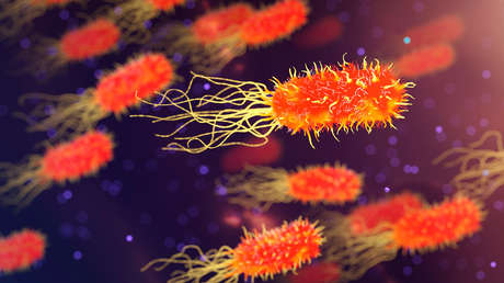 Prometedor hallazgo para combatir las infecciones resistentes a los antibióticos que se cobran 700.000 muertes anuales