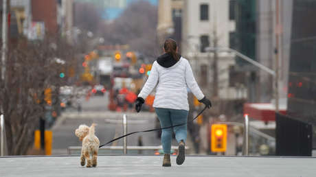 Graban la brutal muerte de una anciana en China tras enredarse sus pies en la correa de un perro y caer de cara