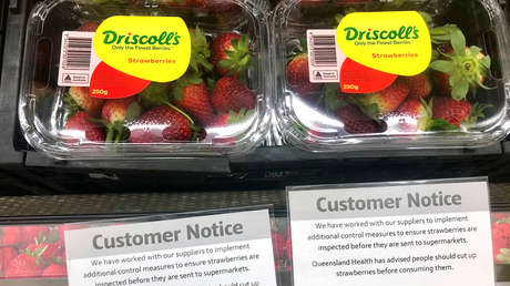 Un hombre encuentra dos agujas en las fresas que preparaba para el almuerzo de su hija en Australia