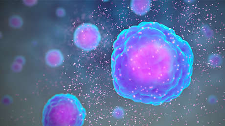 Descubren que la tormenta de citoquinas que causa el covid-19 puede impedir que se cree inmunidad duradera