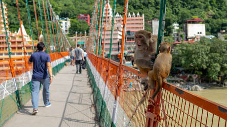 Arrestan a una mujer por grabarse medio desnuda en un puente sagrado de India