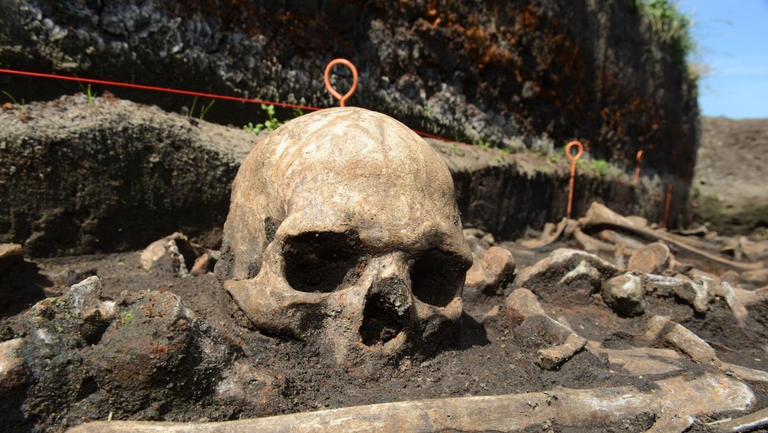 Un estudio de huesos antiguos revela que la tolerancia a la lactosa se extendió en Europa gracias a una mutación genética