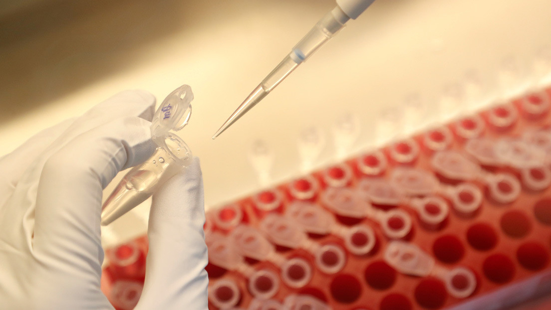 Brasil probará Sputnik V en 10.000 personas a principios de 2021