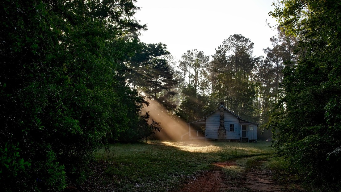 Compra una casa barata para repararla y venderla y descubre un 'tesoro' en el patio que multiplica su valor por diez 