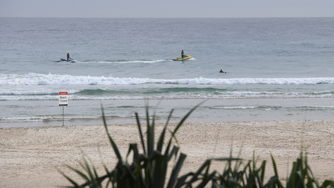 VIDEO: Momento en que un tiburón blanco mata a un surfista en una playa australiana protegida con redes