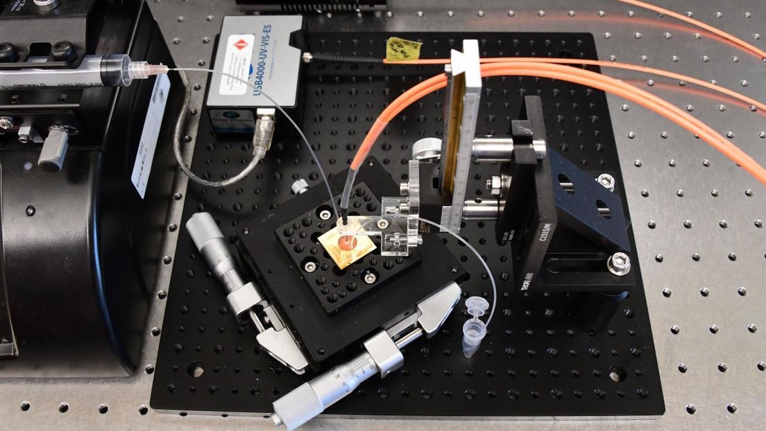 Desarrollan una prueba de anticuerpos de coronavirus del tamaño de un microchip que arroja resultados en 30 minutos