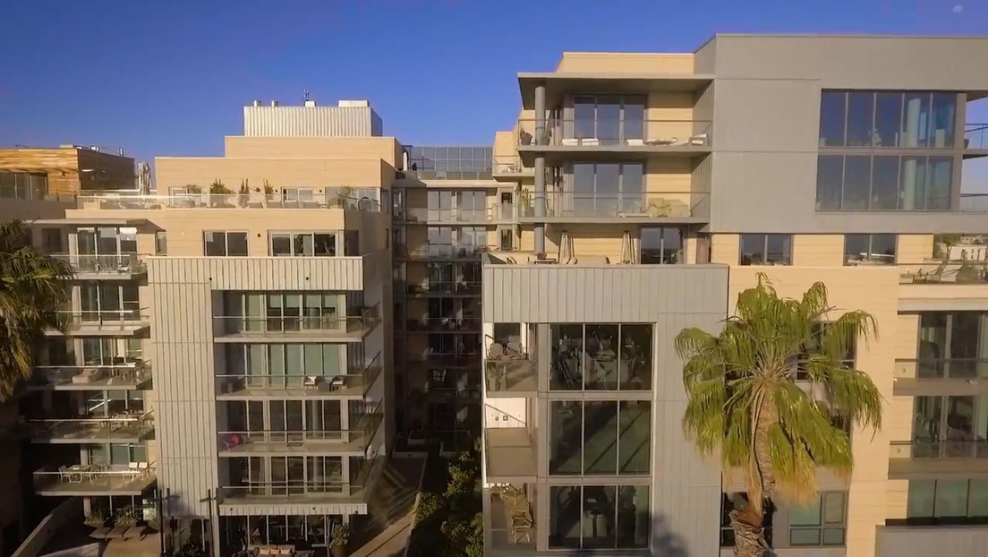 Captan al director ejecutivo de una consultora medioambiental golpeando a su perro de 4 meses