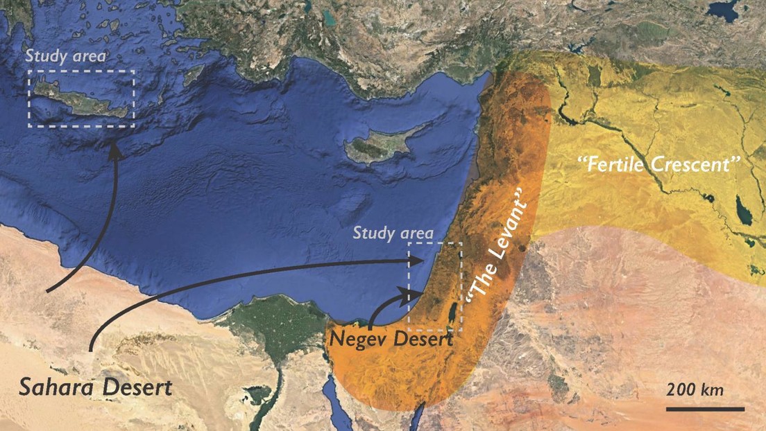 La existencia de una antigua civilización podría haber dependido de un factor inesperado
