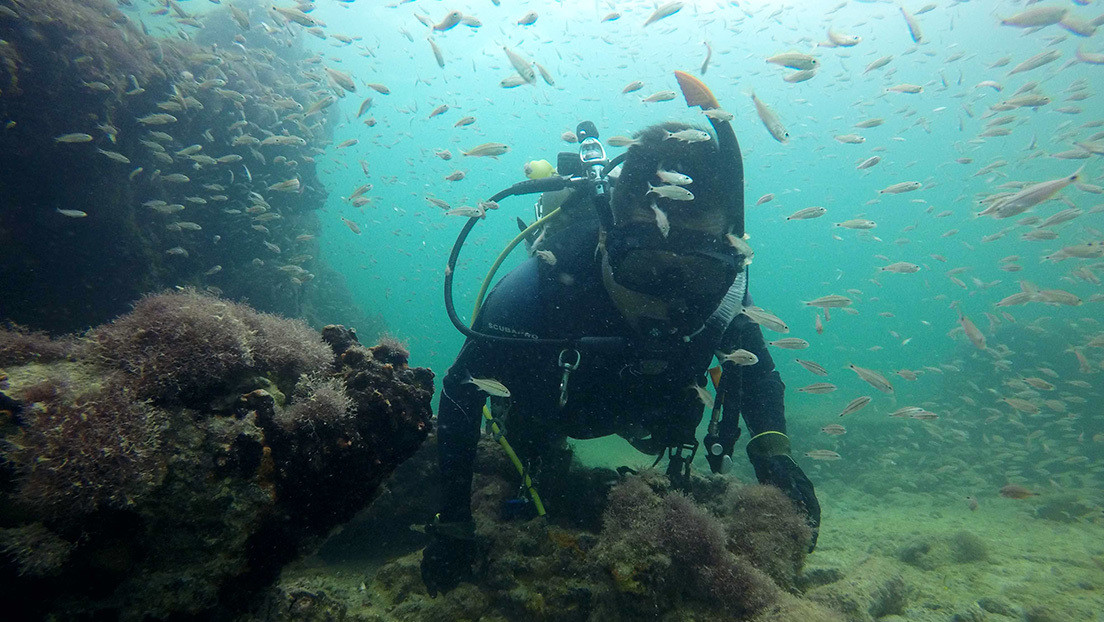 Identifican los restos del primer barco utilizado para el tráfico de esclavos mayas (VIDEO)