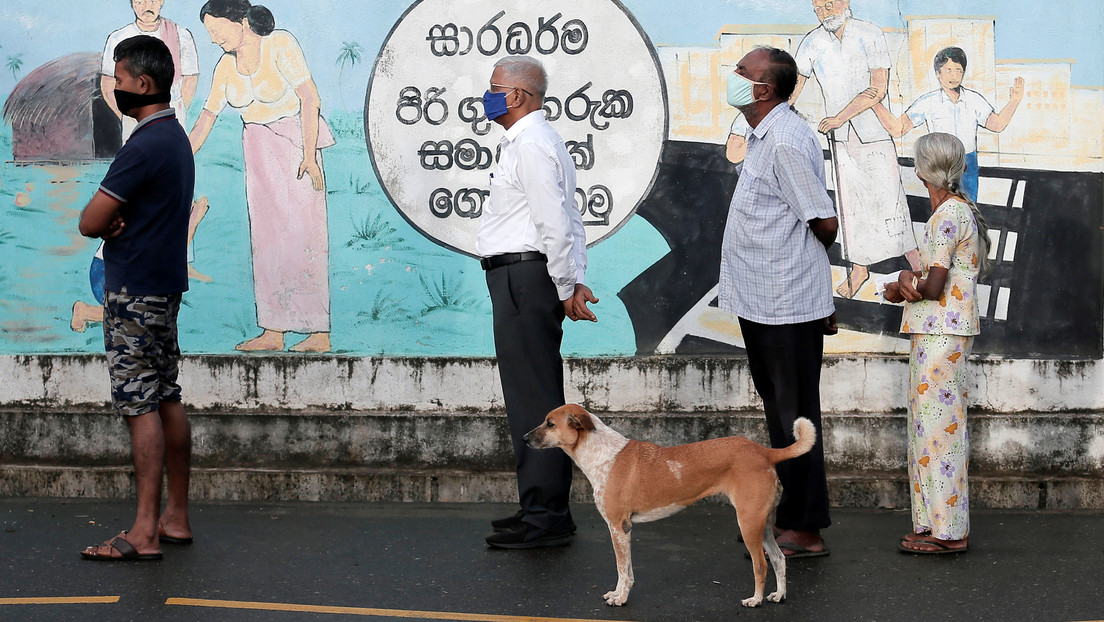 La OMS alerta del aumento de virus capaces de pasar de animales a humanos: "habrá otra enfermedad X"