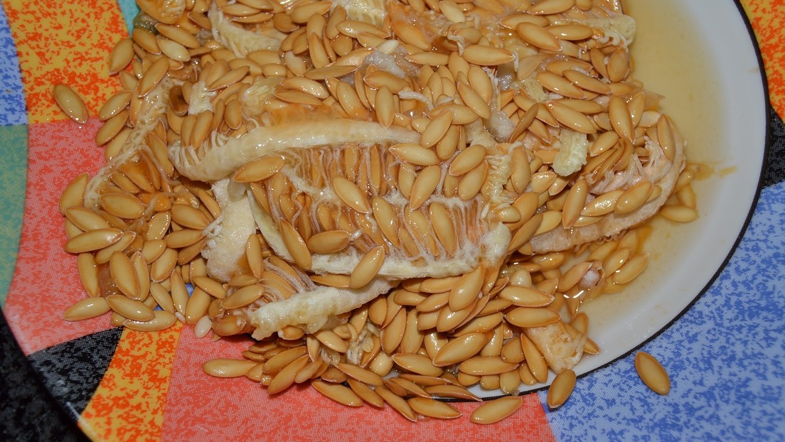 Diagnostican cáncer de colon a una pareja que comió semillas de melón todos los días durante dos años