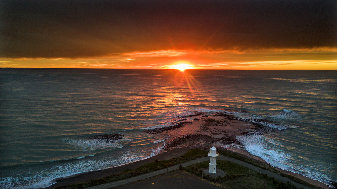 Las olas de calor marino se hacen más frecuentes, intensas y duraderas debido a la actividad humana