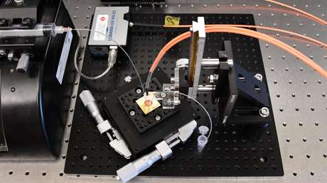 Desarrollan una prueba de anticuerpos de coronavirus del tamaño de un microchip que arroja resultados en 30 minutos