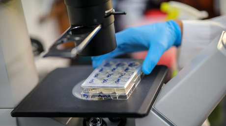 Investigadores rusos no registran mutaciones significativas del coronavirus tras estudiar 422 muestras