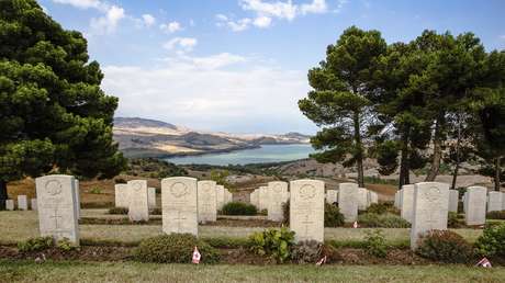 Crean un "ataúd viviente" a partir del sistema de raíces de los hongos