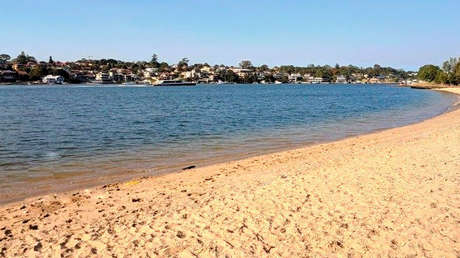 Una surfista muestra lo cerca que estuvo de sufrir el ataque de un tiburón al encontrar un diente incrustado en su tabla