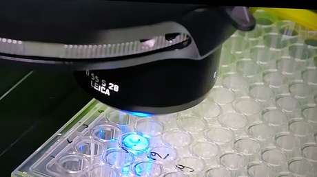 La segunda vacuna rusa contra el covid-19 será registrada hacia el 15 de octubre