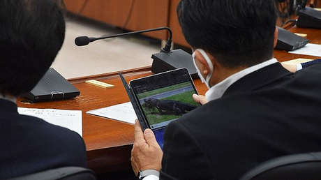 Un diputado japonés se justifica por estar viendo un video de cocodrilos durante una sesión parlamentaria