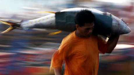 FOTO: Un mexicano pesca un enorme pez vela que lo supera en tamaño