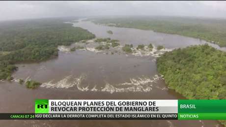 Brasil: La Justicia bloquea los planes del Gobierno de revocar la protección de manglares