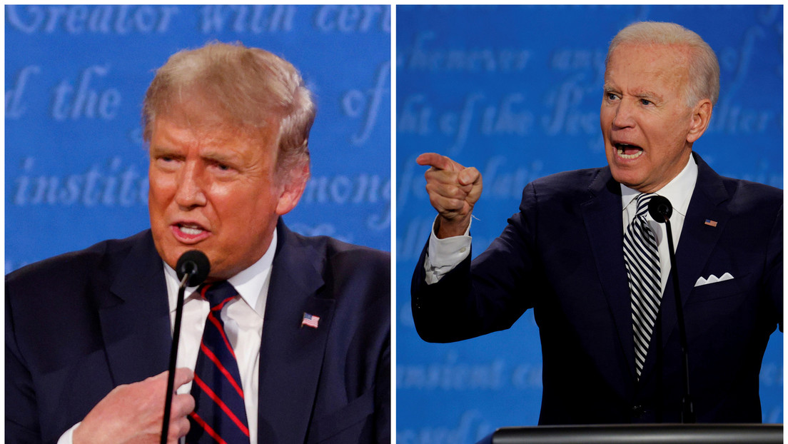 "No es fan": Esta gata ya eligió entre Trump y Biden (VIDEO)