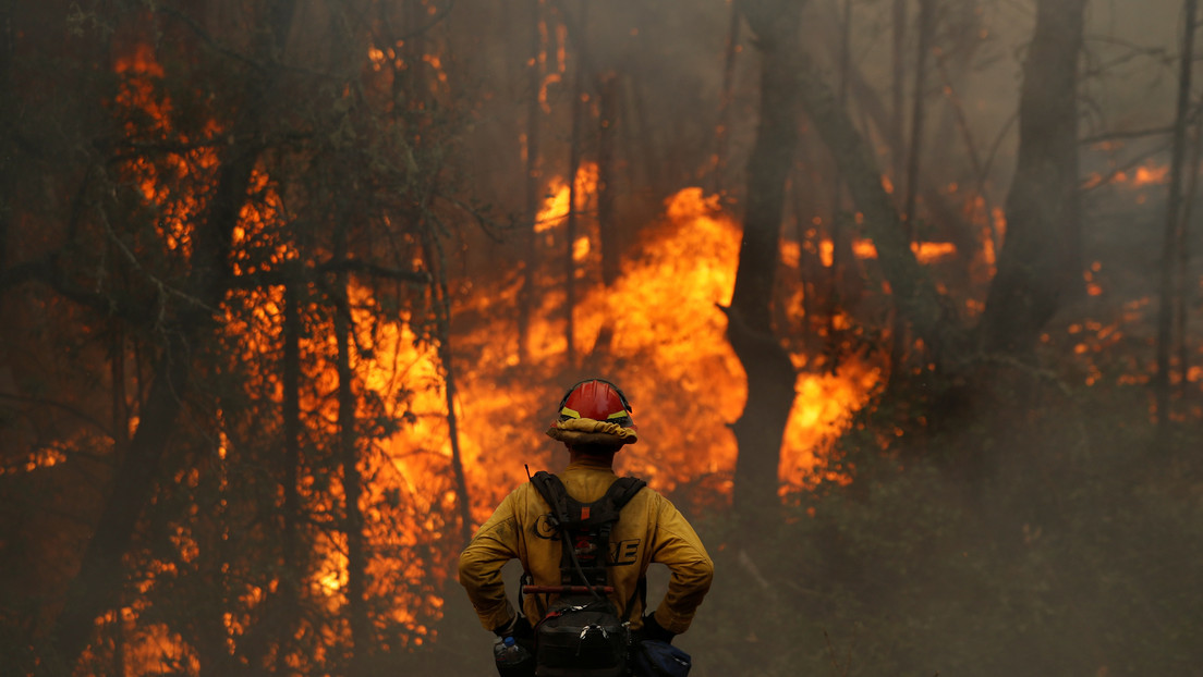 Más de 8.000 incendios han arrasado este año 1,6 millones de hectáreas en California