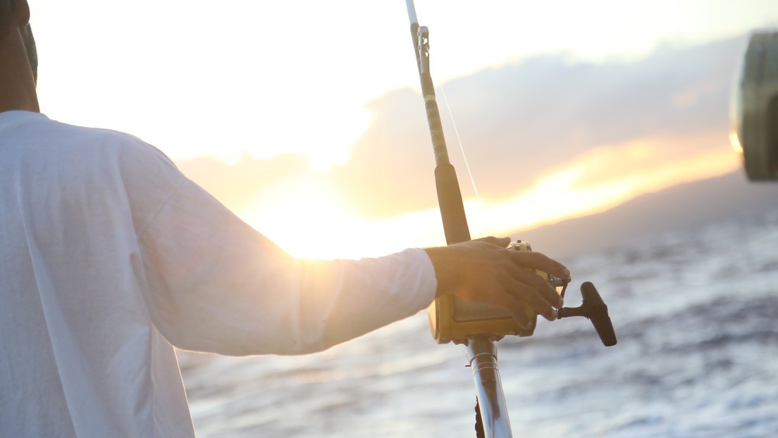 FOTOS: Pescador encuentra un extraño tiburón bebé de dos cabezas