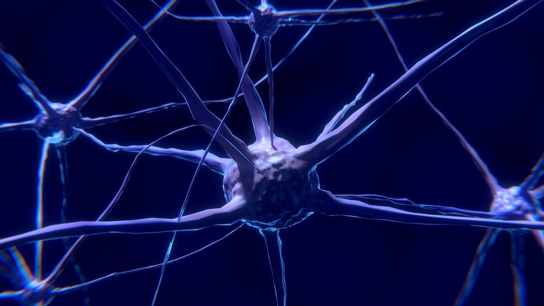 Científicos confirman que los hombres tienen un cerebro más "variable" que las mujeres