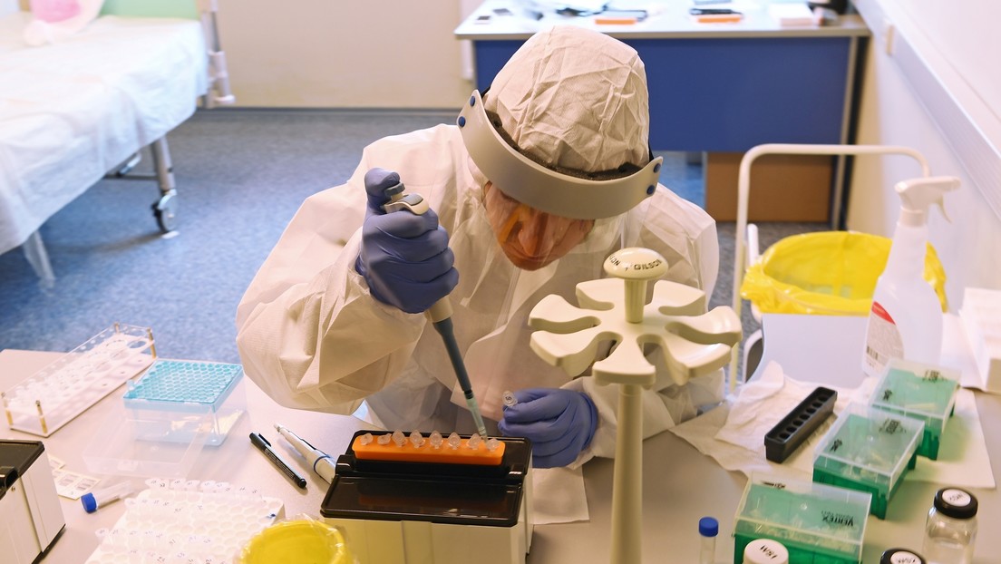 Experto: el 20 % de las personas que superan el covid-19 pierden los anticuerpos en un par de meses