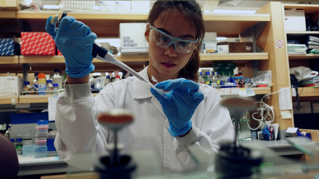 Singapur suspende la aplicación de vacunas contra la gripe tras la muerte de 48 personas en Corea del Sur