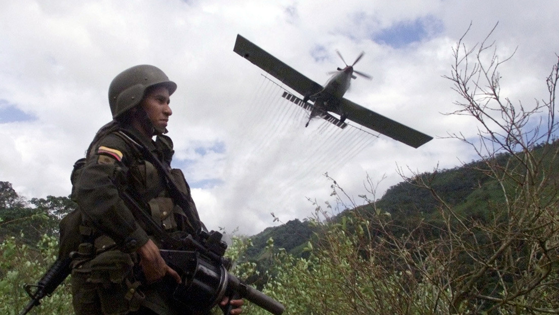 Revés para los campesinos de Colombia: Un juez falla a favor de un proceso que permitirá el regreso de la aspersión con glifosato