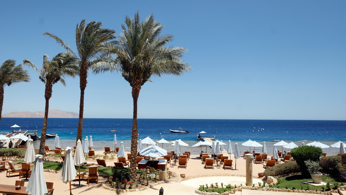 Un tiburón oceánico arranca un brazo a un niño de 12 años y una pierna a su guía turístico en las costas del Egipto