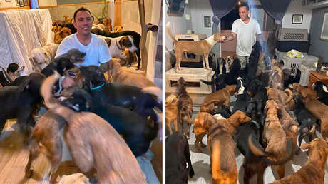 Un mexicano protege a más de 300 animales del huracán Delta y se hace viral