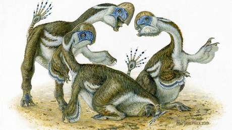 Paleontólogos presentan una nueva especie de dinosaurio de dos dedos y desprovisto de dientes, similar a un loro gigante