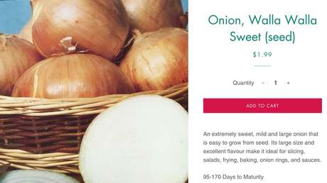 Esta foto publicitaria con cebollas es una imagen "abiertamente sexual" para Facebook