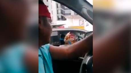 "No los queremos, son ignorantes": Graban los insultos racistas de una mujer contra miembros de la minga indígena en Colombia