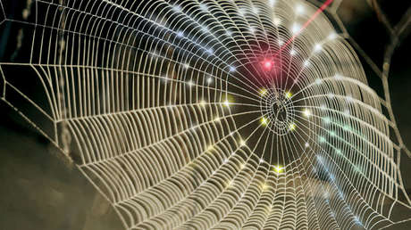 Diseñan fotodetectores 3D inspirados en las telarañas y los ojos de los insectos