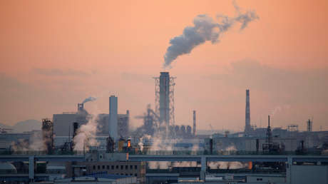 Casi medio millón de bebés recién nacidos murieron por la contaminación del aire en el 2019