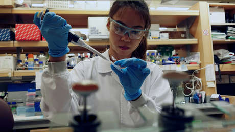 Singapur suspende la aplicación de vacunas contra la gripe tras la muerte de 48 personas en Corea del Sur