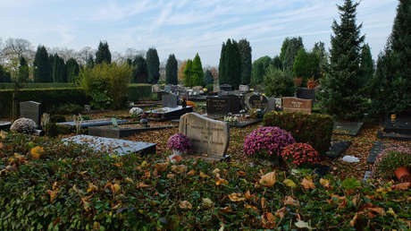 Cientos de clones de un invasivo cangrejo mutante se apoderan de un cementerio en Bélgica