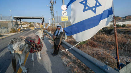 Descubren en burros un parásito que puede afectar a los seres humanos