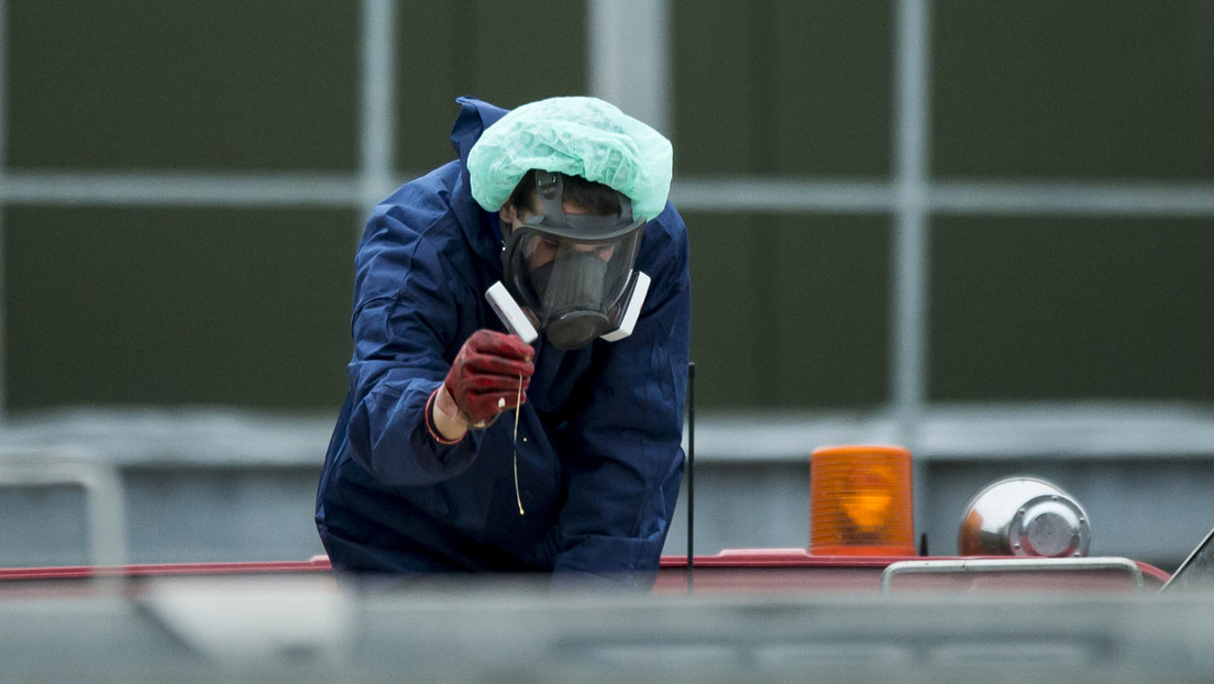 Confirman brotes de gripe aviar en Alemania y Países Bajos