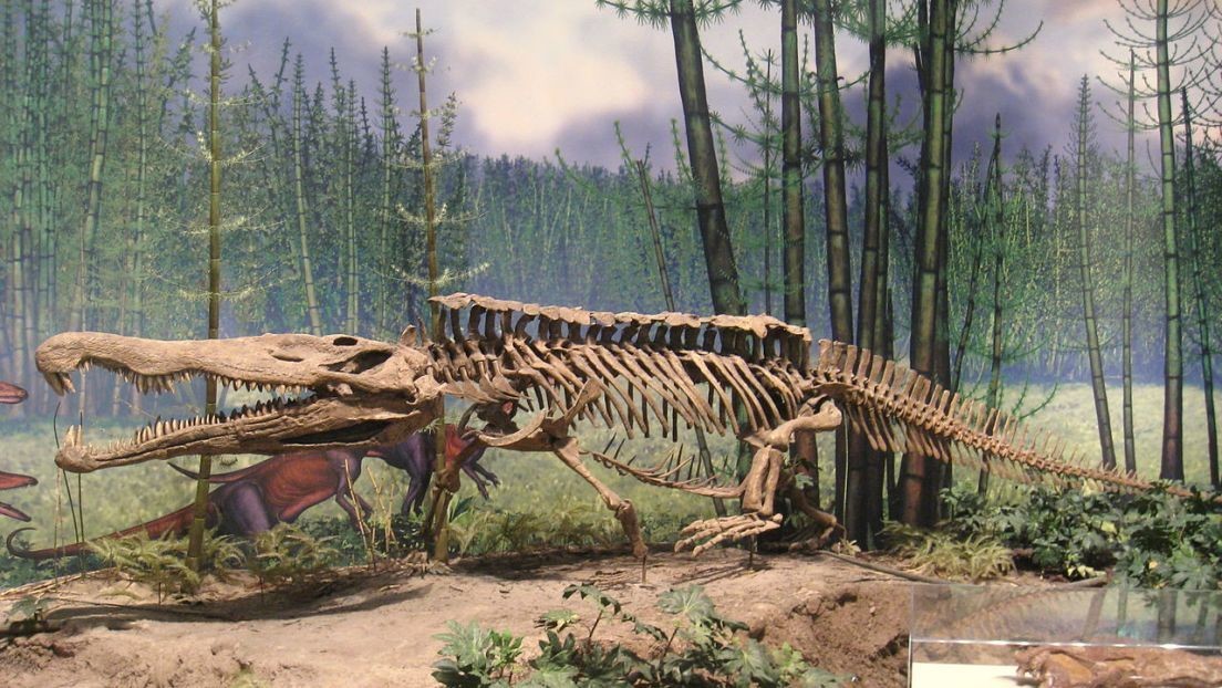 Estiman que la extinción que abrió la puerta al Jurásico ocurrió más tarde de lo pensado