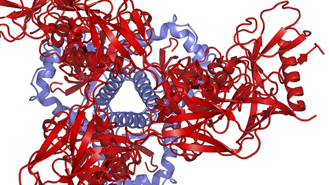 La inteligencia artificial de DeepMind halla la solución a un problema biológico clave que los científicos no han podido resolver en más de 50 años