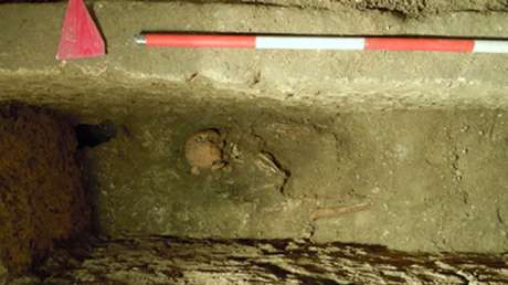 La fiebre de las trincheras ya afectaba a las poblaciones humanas en Europa miles de años antes de lo que se creía