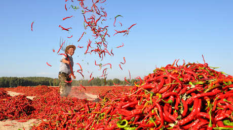 Estudio sugiere que comer chiles podría alargar la vida